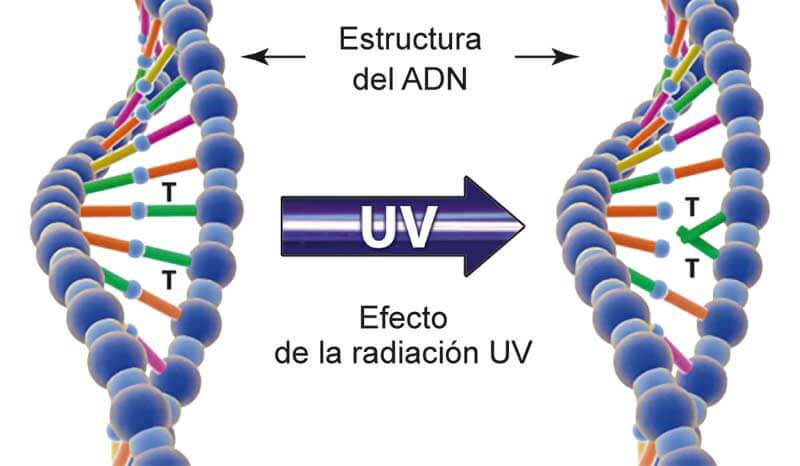 luz-ultravioleta-uv-purificador[1]